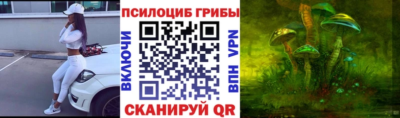 darknet телеграм  Ивдель  Псилоцибиновые грибы MAGIC MUSHROOMS 