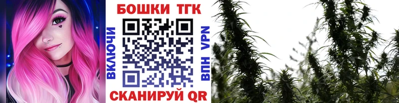 omg как зайти  Ивдель  МАРИХУАНА OG Kush 